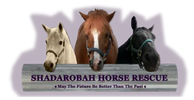 Shadarobah Horse Rescue